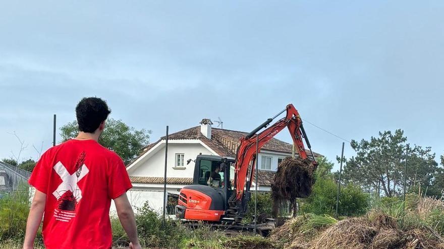 O Grove frena la expansión de la hierba de la pampa en parte de su litoral