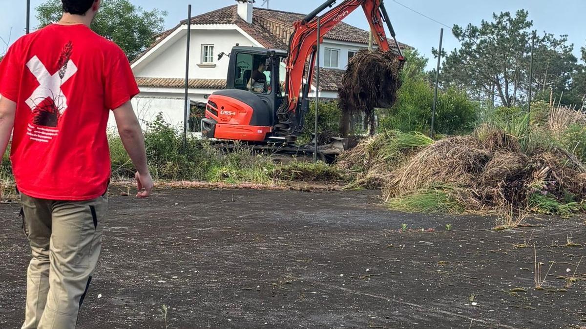 Trabajos de retirada de hierba de la pampa en O Grove.