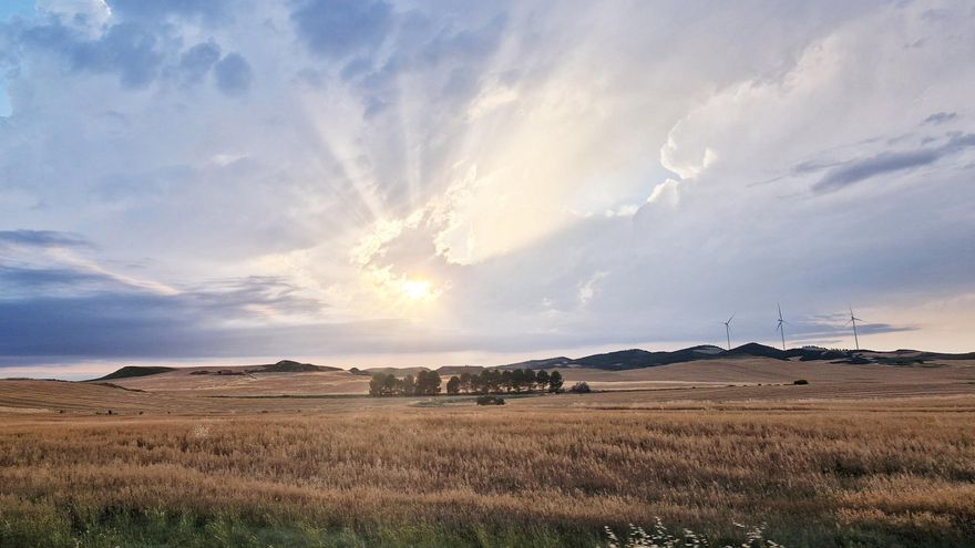 El cooperativismo agroalimentario, clave para el desarrollo rural