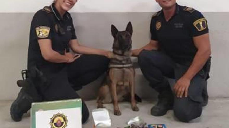 La droga incautada por la Unidad Canina de la Policía Local