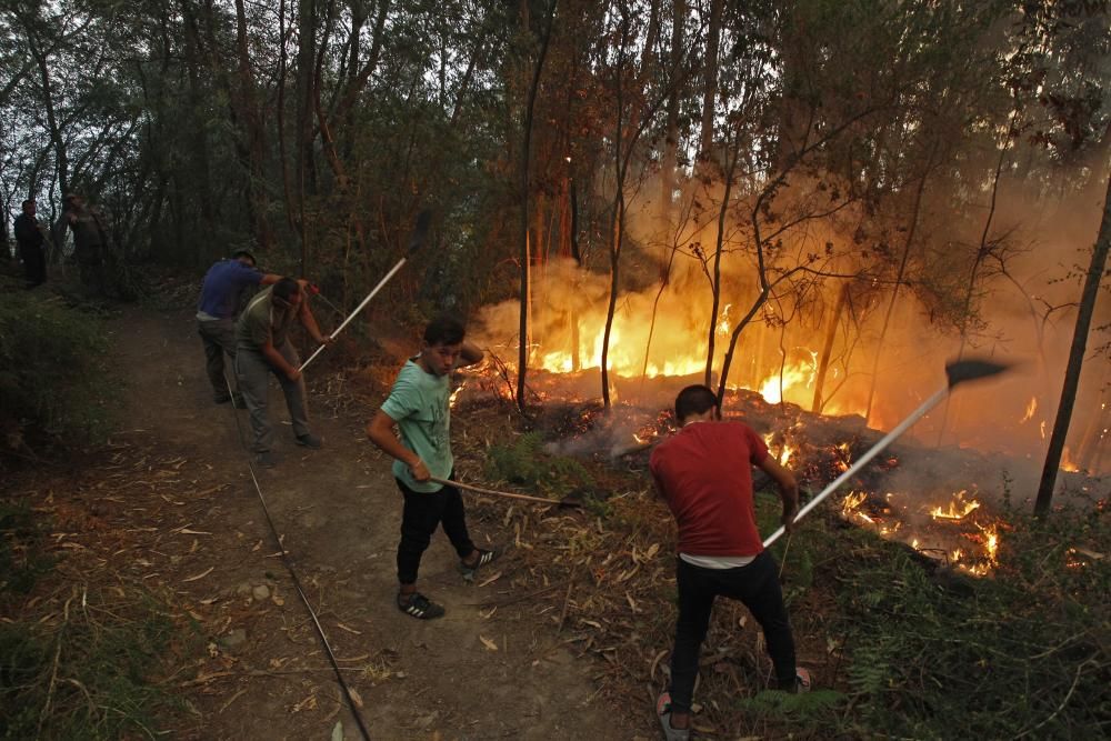 Arbo lucha contra el fuego