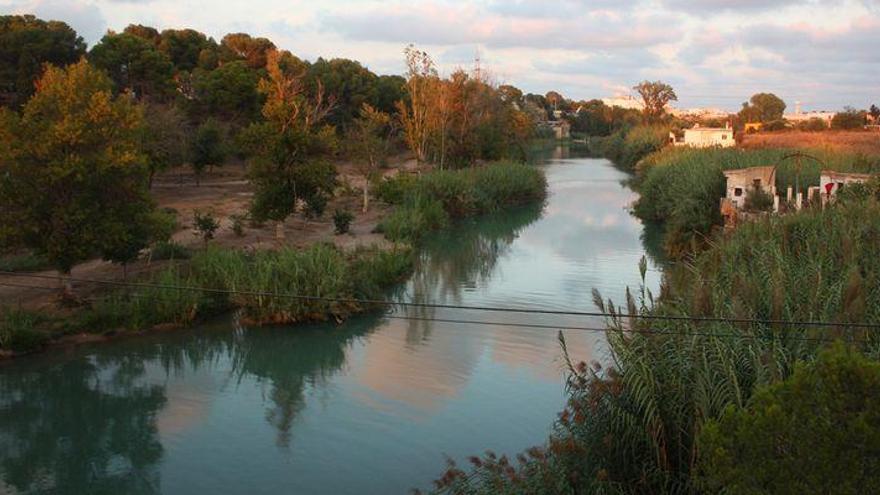 Almassora prepara una zona de ocio con tirolina en Santa Quitèria