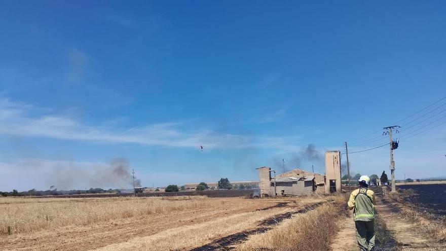 Un incendio agrícola quema 23 hectáras de cultivos en sa Ràpita