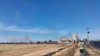 Un incendio agrícola quema 23 hectáras de cultivos en sa Ràpita