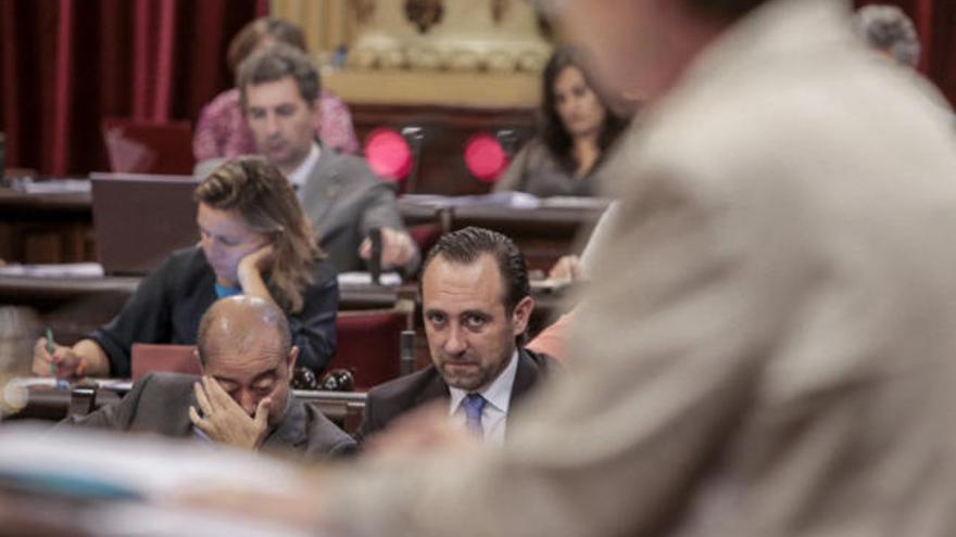 Reveladora mirada ayer de Bauzá a Cristina Rita (PSOE) en la interpelación a Camps.