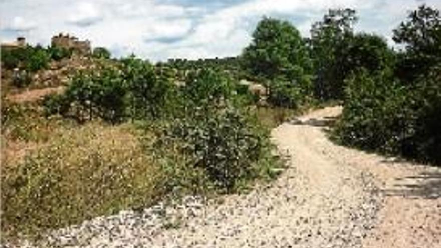 Un dels camins del Solsonès que s&#039;han arranjat