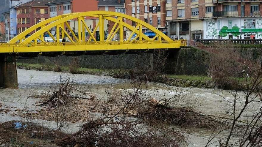 Ramas en el Nalón a su paso por El Entrego.