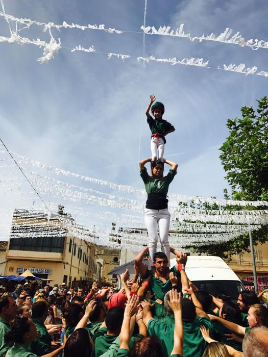 Un melón de 18,4 kilos gana el tradicional concurso de Vilafranca