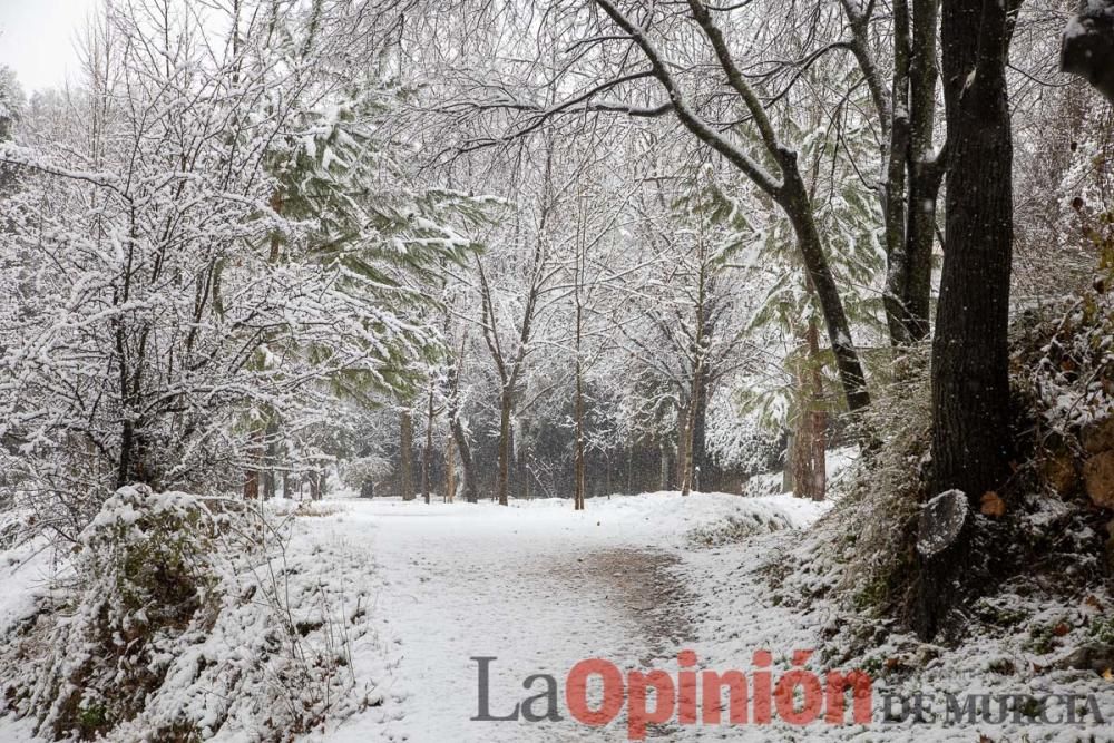 Nieve en las Fuentes del Marqués de Caravaca