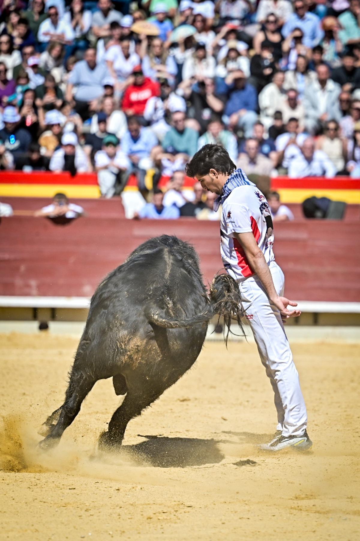 Concurso recortadores