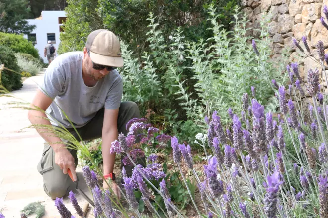El Gremi de Jardineria lamenta que el sector se sent senyalat en plena sequera: "No se'ns està tractant massa bé"