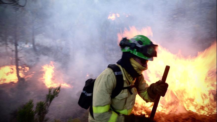 Un bombero lucha contra las llamas del incendio forestal declarado el pasado jueves 8 de septiembre en Sierra Bermeja, en la provincia de Málaga.