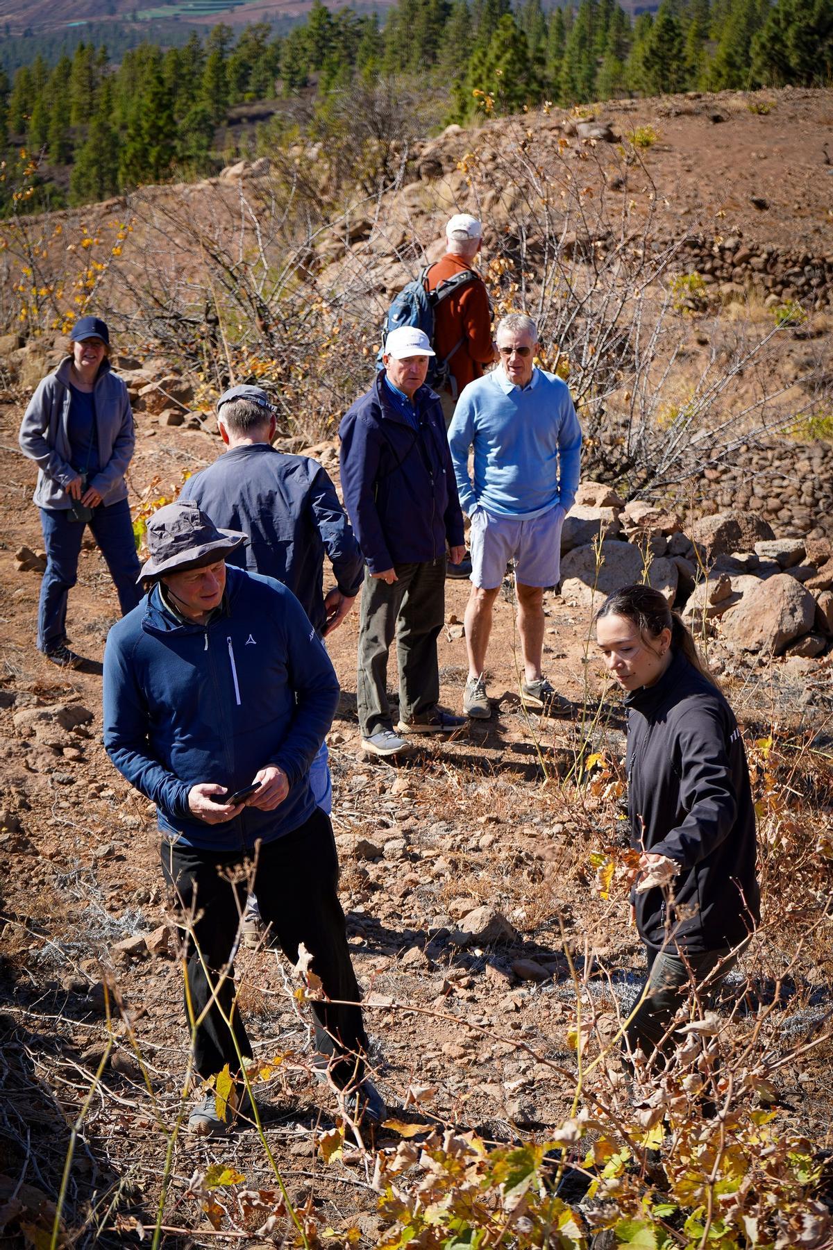 Cata privada en los viñedos volcánicos de Piedra Fluida.