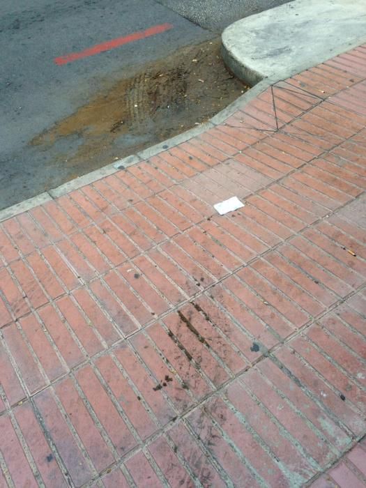 «Alarmante» nivel de suciedad en San Vicente