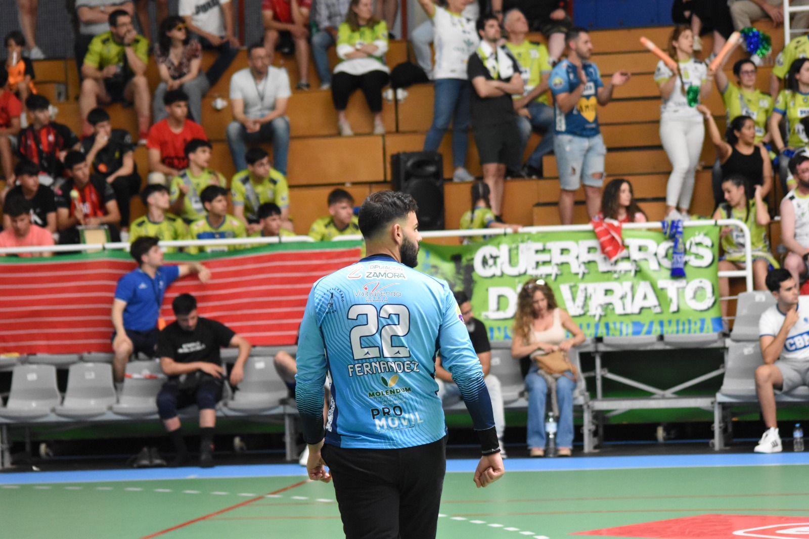 Balonmano Zamora
