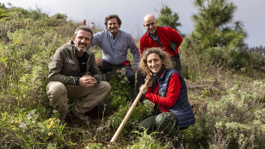 Más de cinco hectáreas reforestadas en Mesas de Galaz