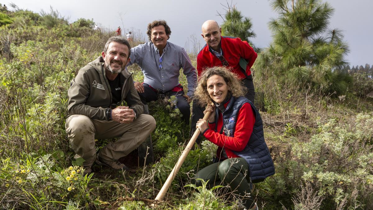 Comprometidos con los bosques