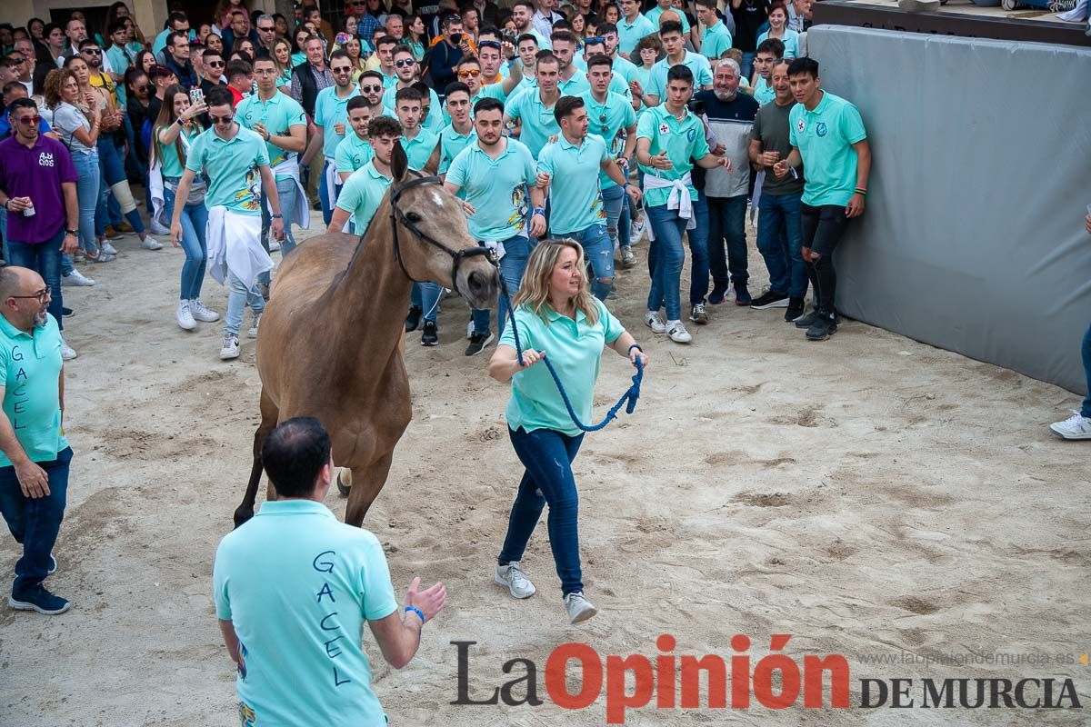 Entrada de Caballos al Hoyo en el día 1 de mayo