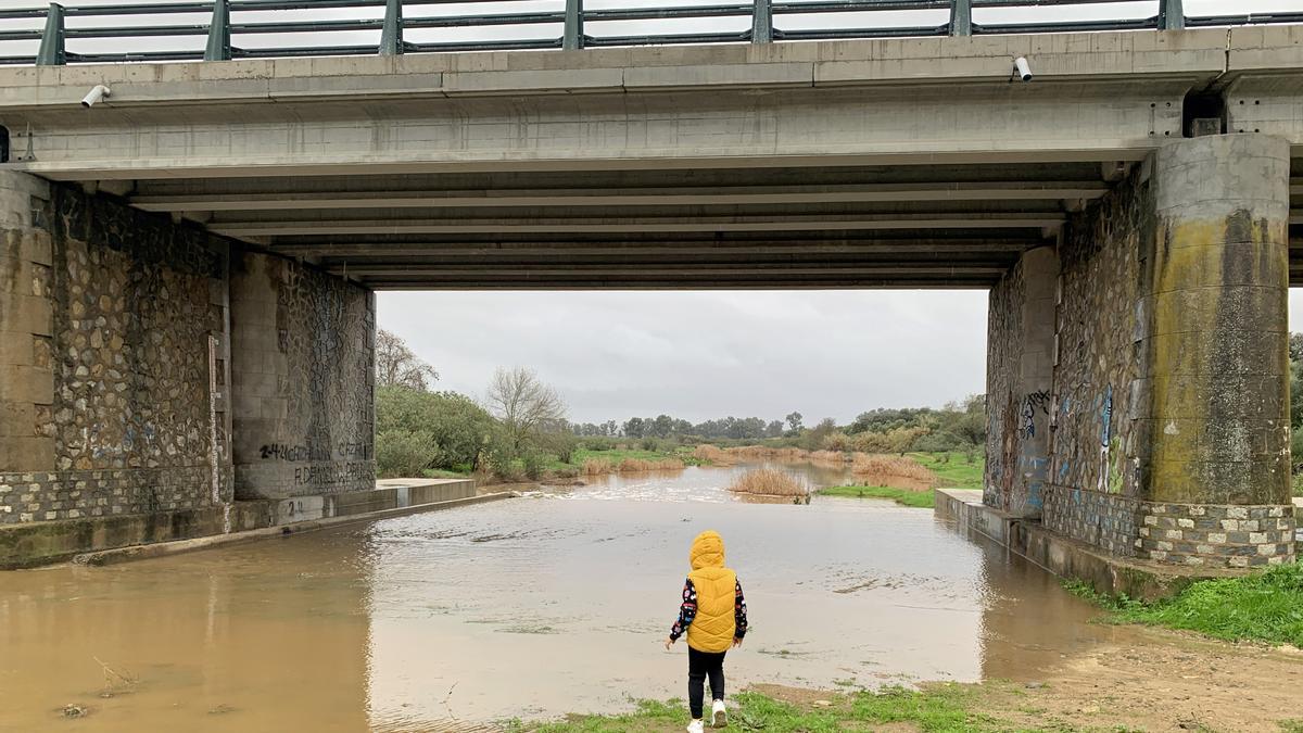 La lluvia permite que el Guadiamar vuelve a aportar agua a marismas de Doñana