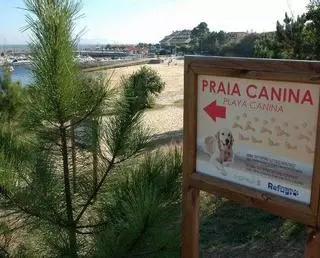 O Grove quiere consolidarse como destino preferente para los turistas que viajan acompañados de sus mascotas