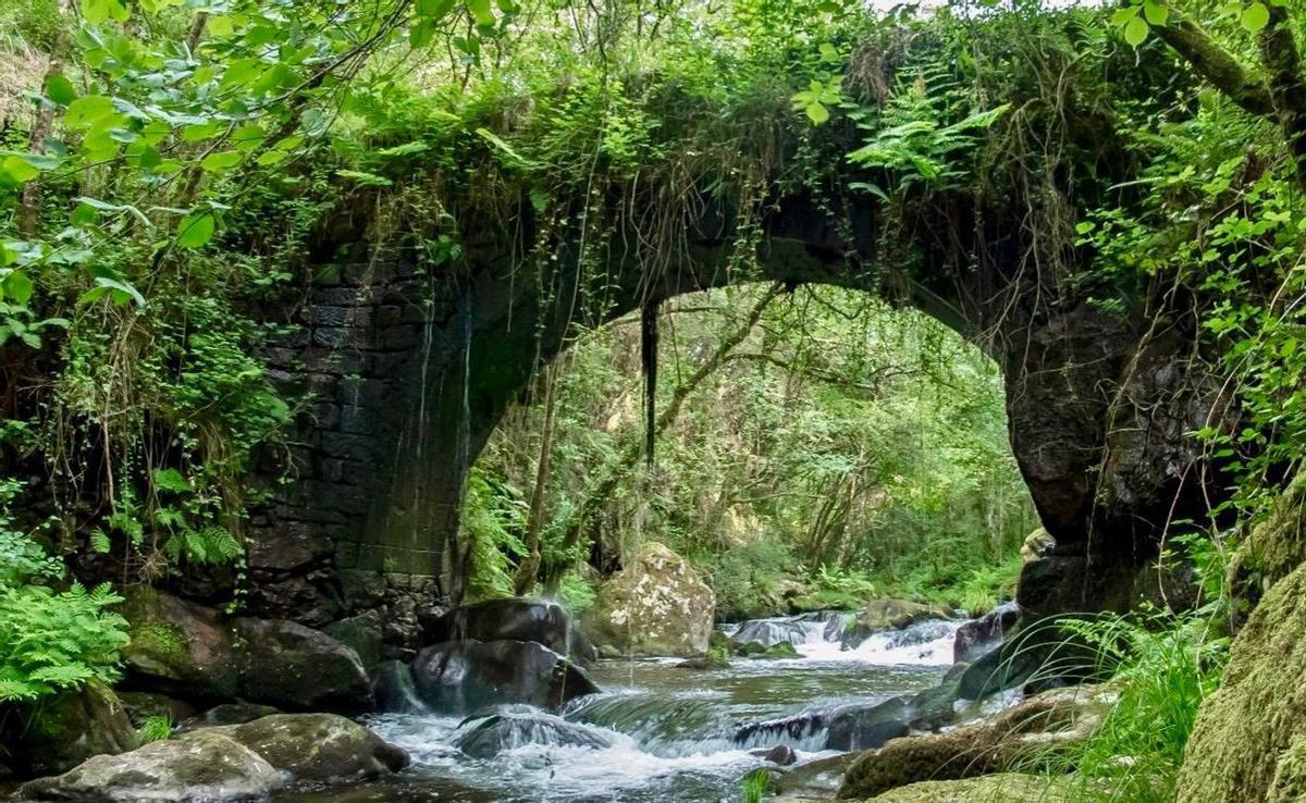El puente, en avanzado estado de abandono. |