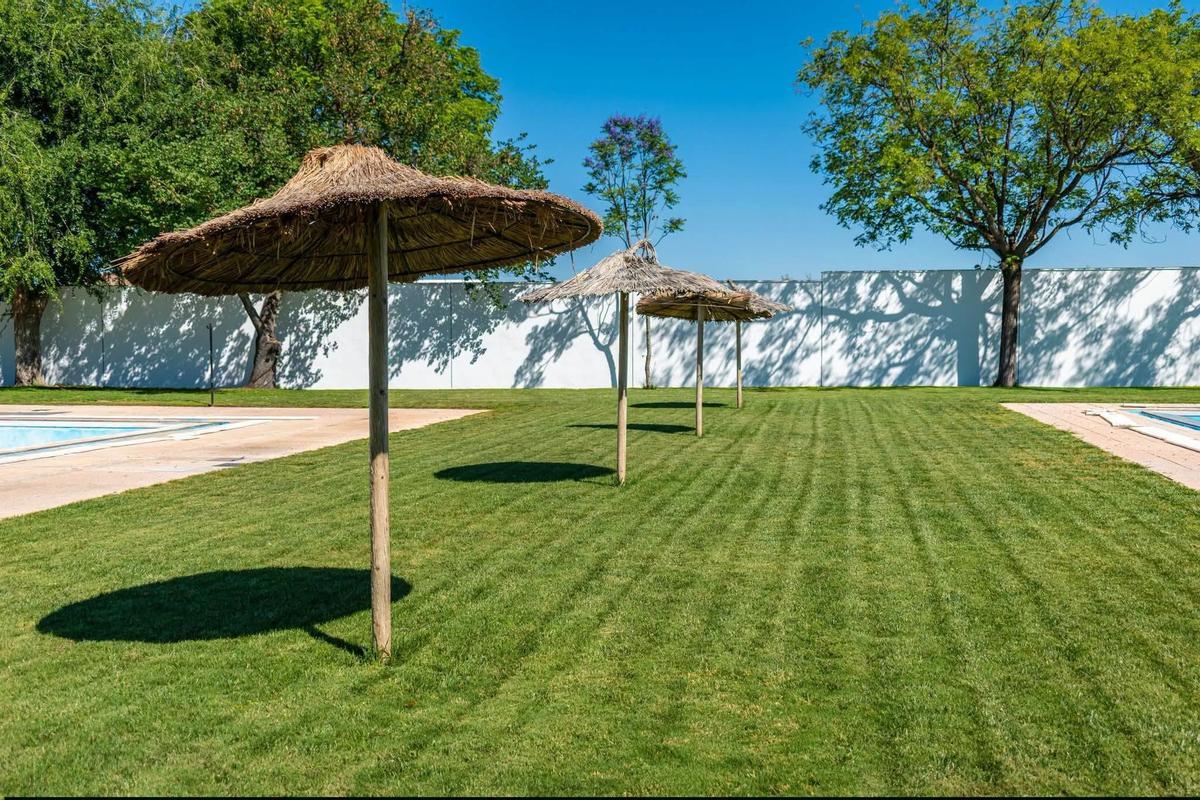 Zona ajardinada de la piscina de Marinaleda.
