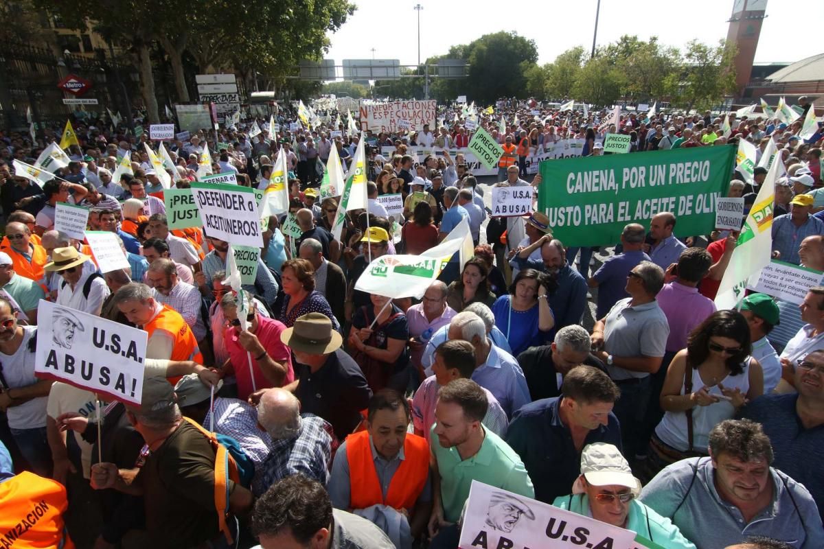 Córdoba se suma a la gran manifestación del olivar en Madrid