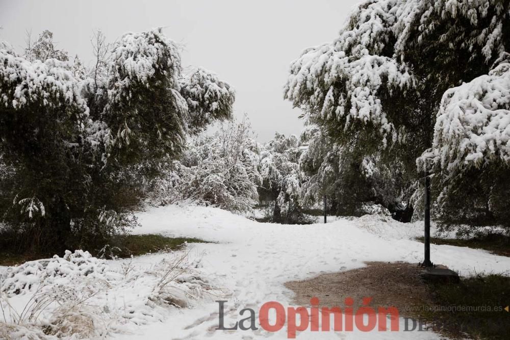 Nieve en las Fuentes del Marqués de Caravaca