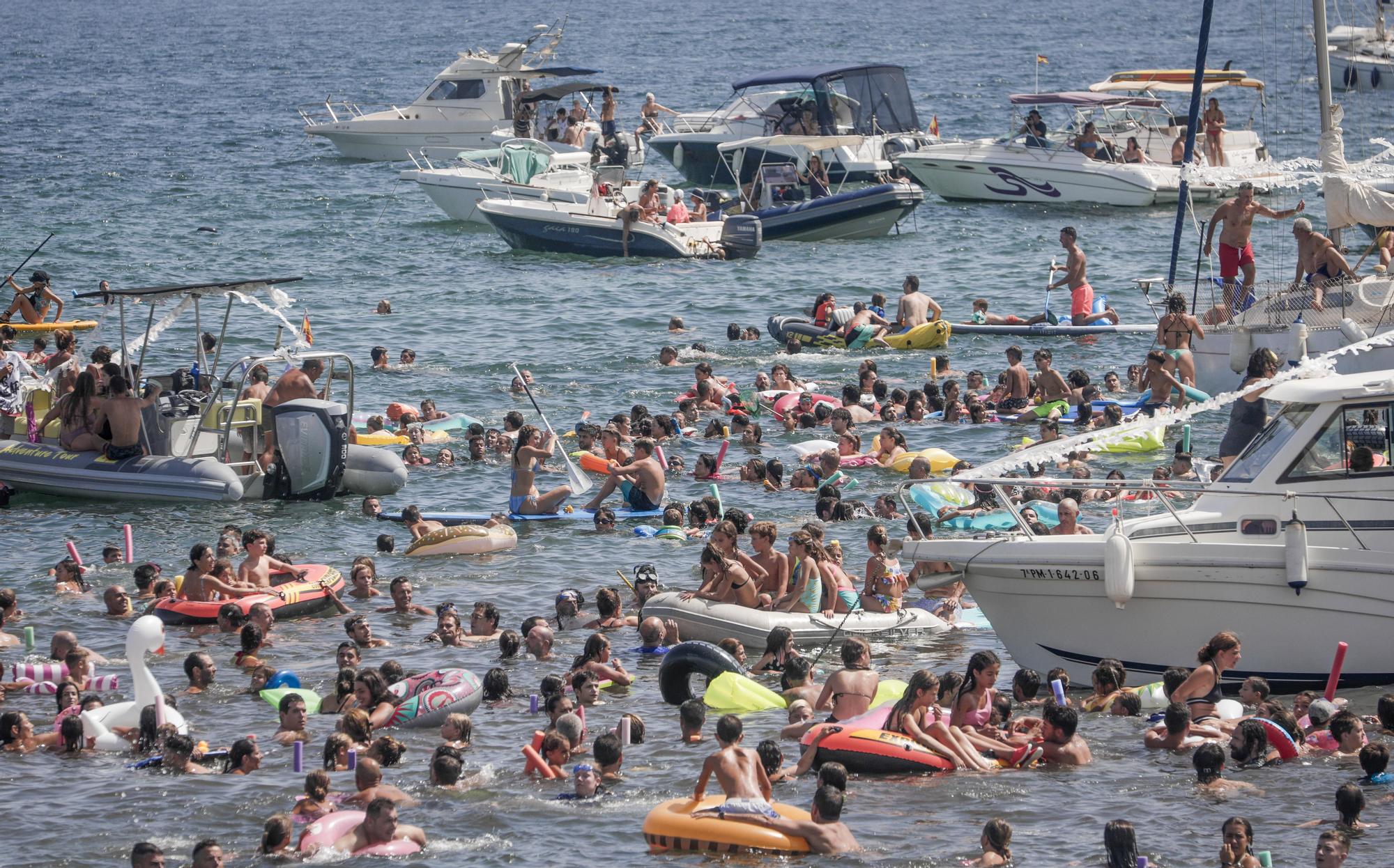 Al agua patos en Can Picafort