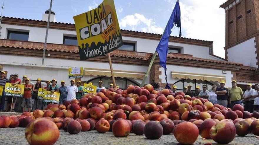 El sector cifra el excedente de fruta de hueso en 30 millones de kilos
