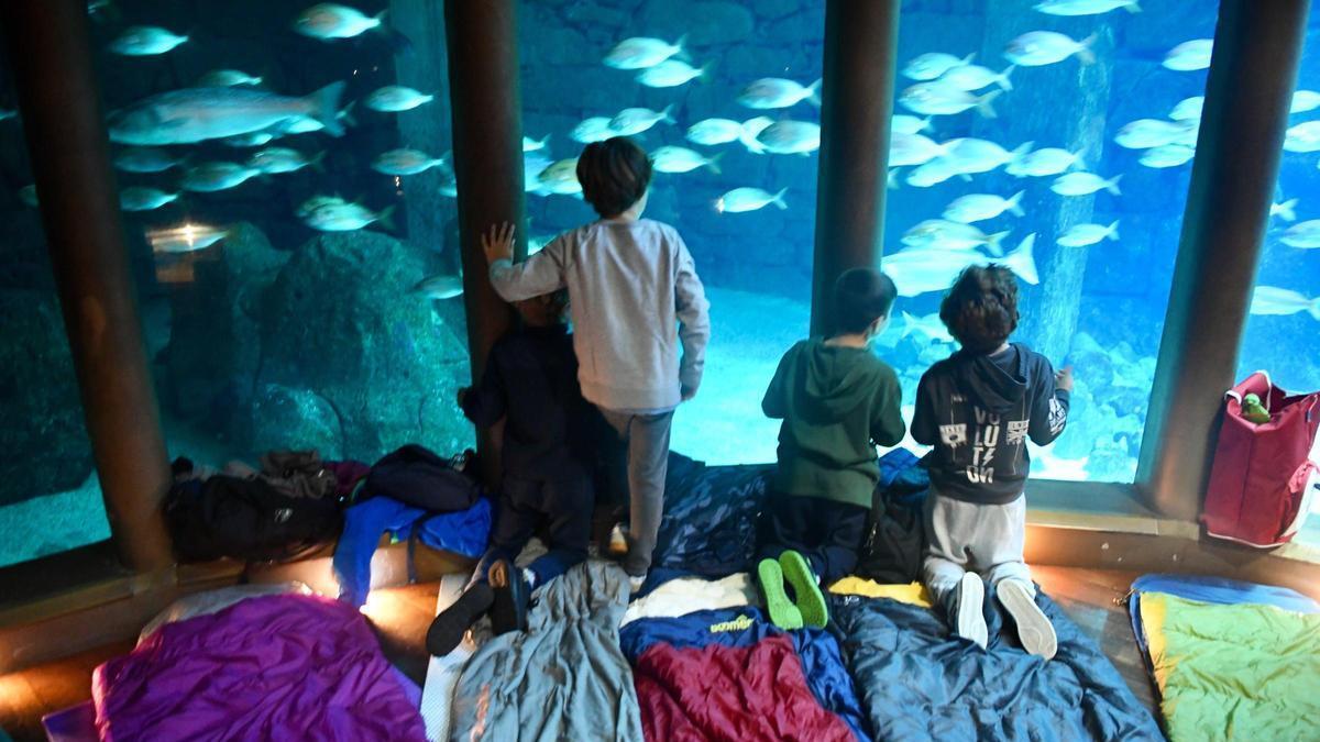 Niños participantes en la actividad 'Durmiendo con tiburones'.