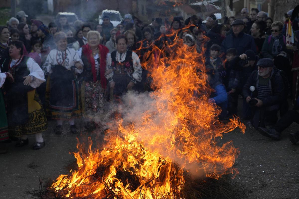 GALERÍA | Salto del piorno en Andavías contra viento y marea