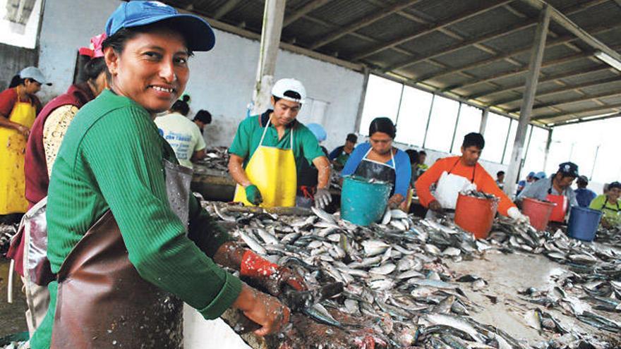 Una de las mujeres de la comuna Jambelí beneficiada por la nueva nave de enviscerado de sardinas. s. sansó