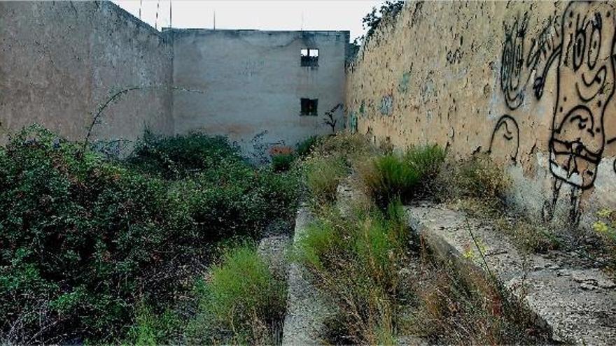 La maleza invade el interior del trinquet.