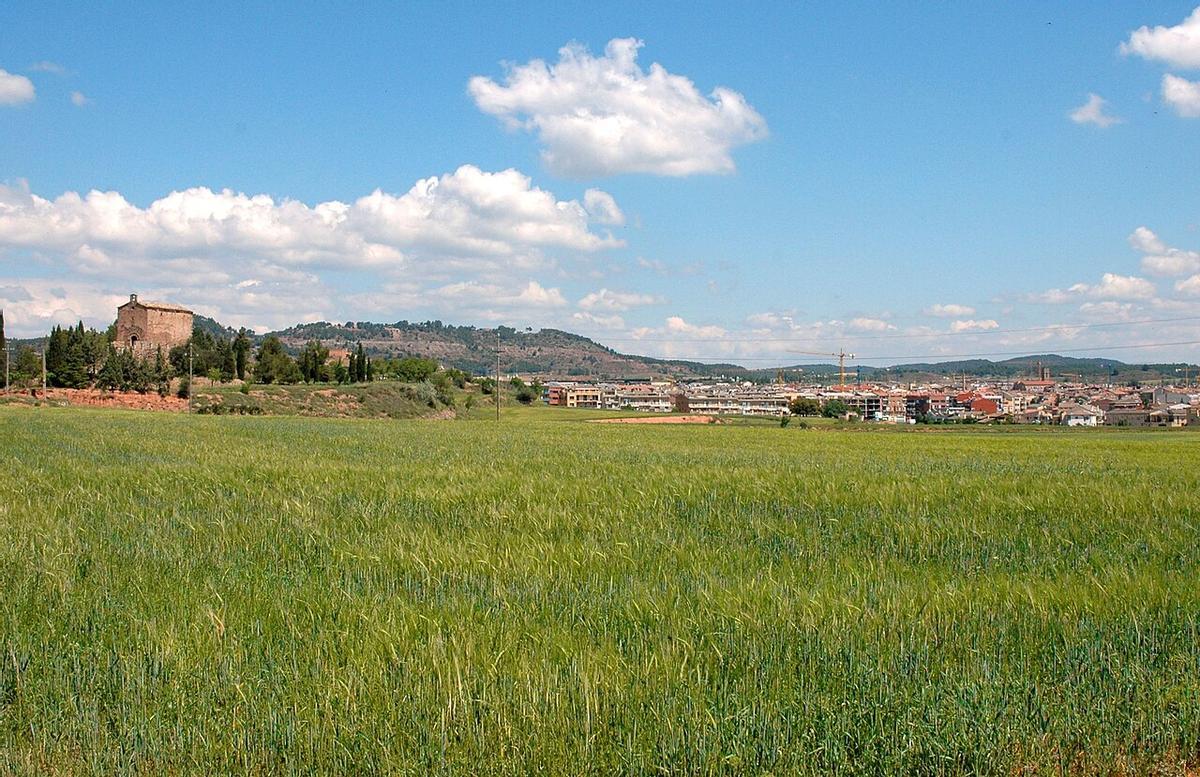 Alrededores del pueblo de Santpedor.