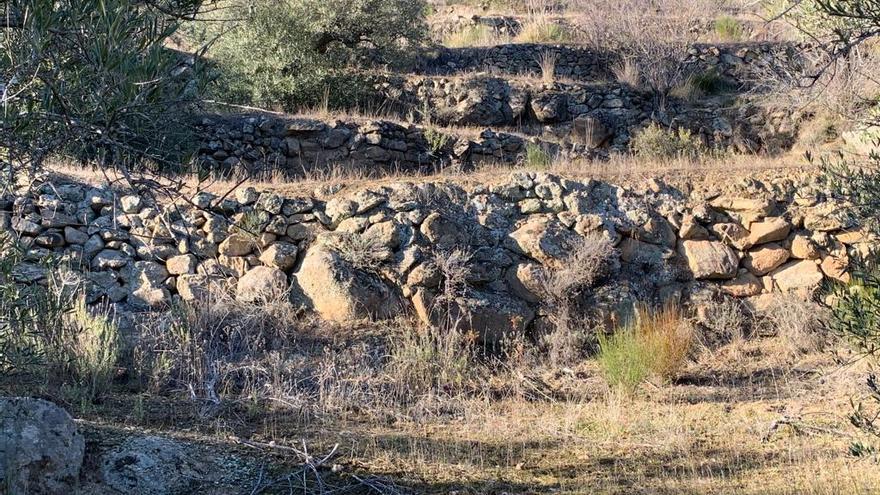 Paredes de piedra en los bancales de Fermoselle