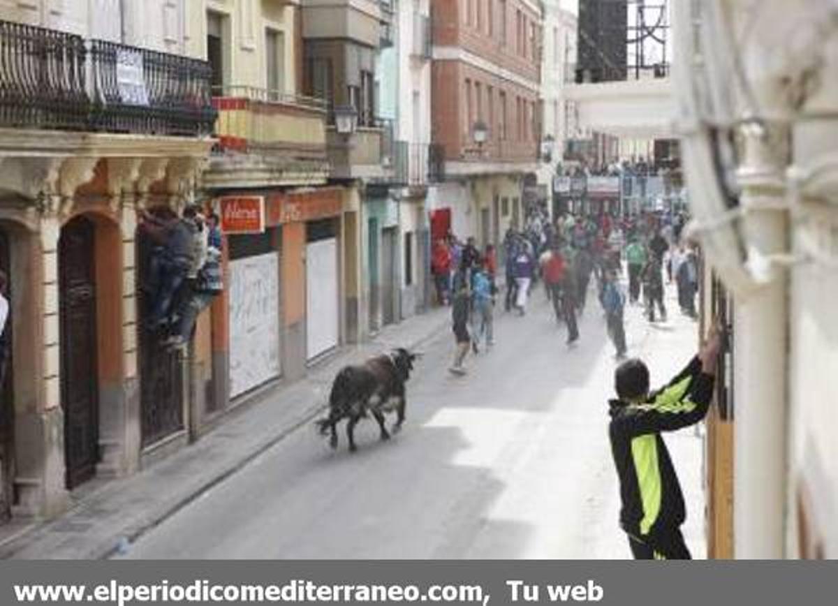 GALERÍA DE FOTOS - Almassora continua con su semana taurina