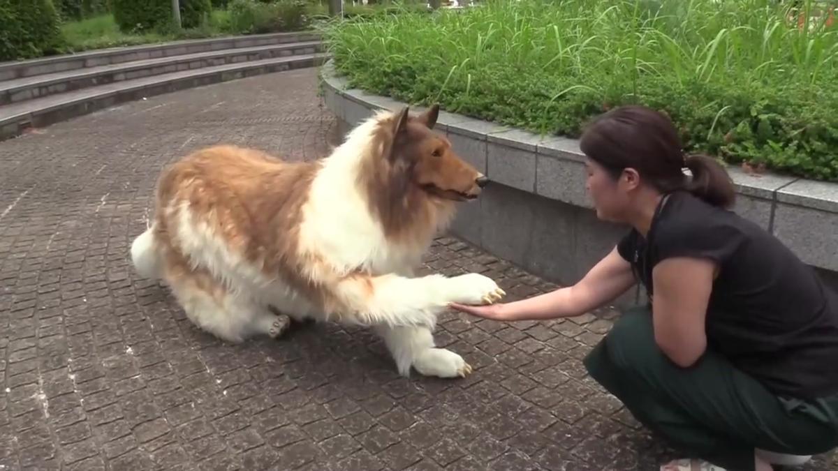 Un hombre en Japón se disfraza de perro de forma hiperrealista