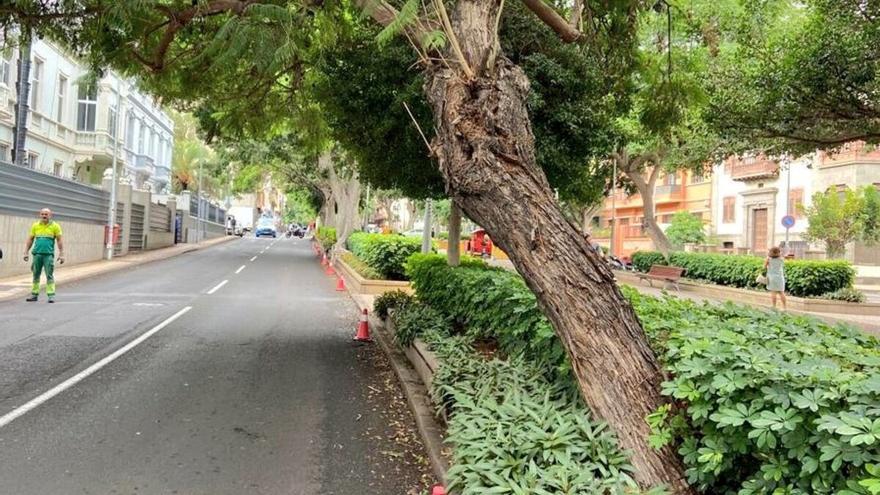 Un coche golpea un árbol y cierran la Rambla por riesgo de caída