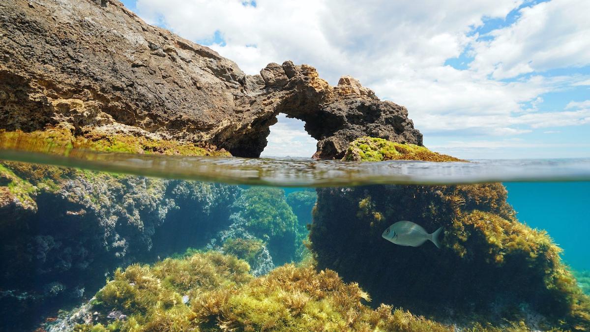 Turismo sostenible, reserva submarina