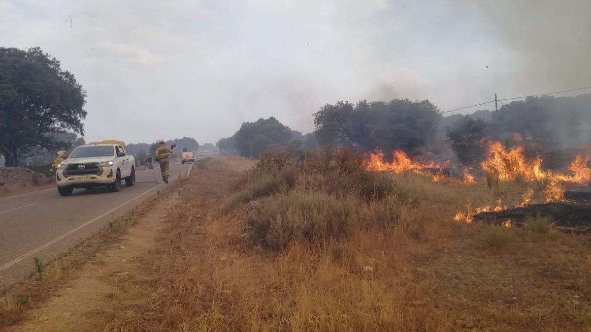 Extinción del incendio en Roelos de Sayago (Zamora)