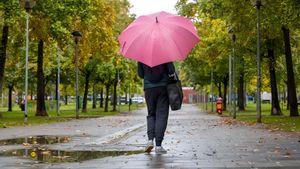 Progresión mejorable para este viernes en el registro de lluvias.