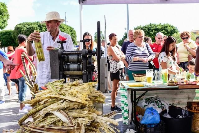 II Feria del Aguacate en Arguineguín