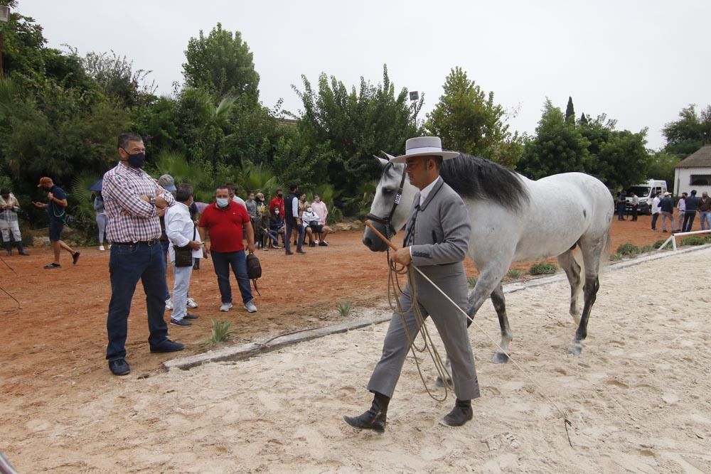 Cabalcor puede con la lluvia y el Covid