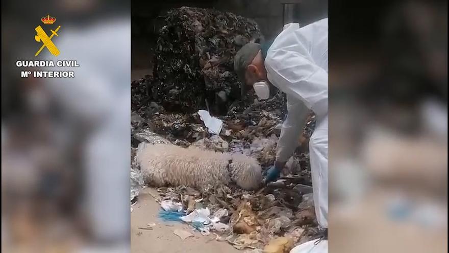 Dos toneladas de cocaína ocultas en un buque en el puerto de Santa Cruz de Tenerife
