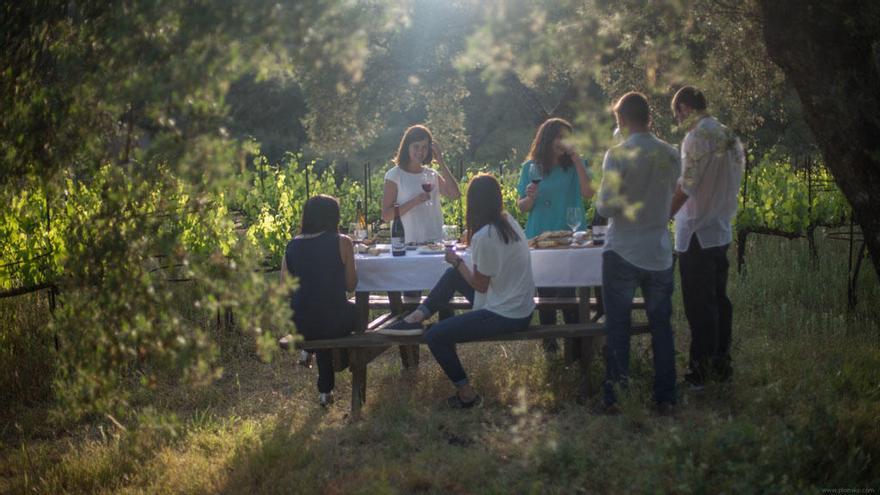 Comida tras visitar las vides de variedades autóctonas de la Bodega La Melonera, en Ronda.