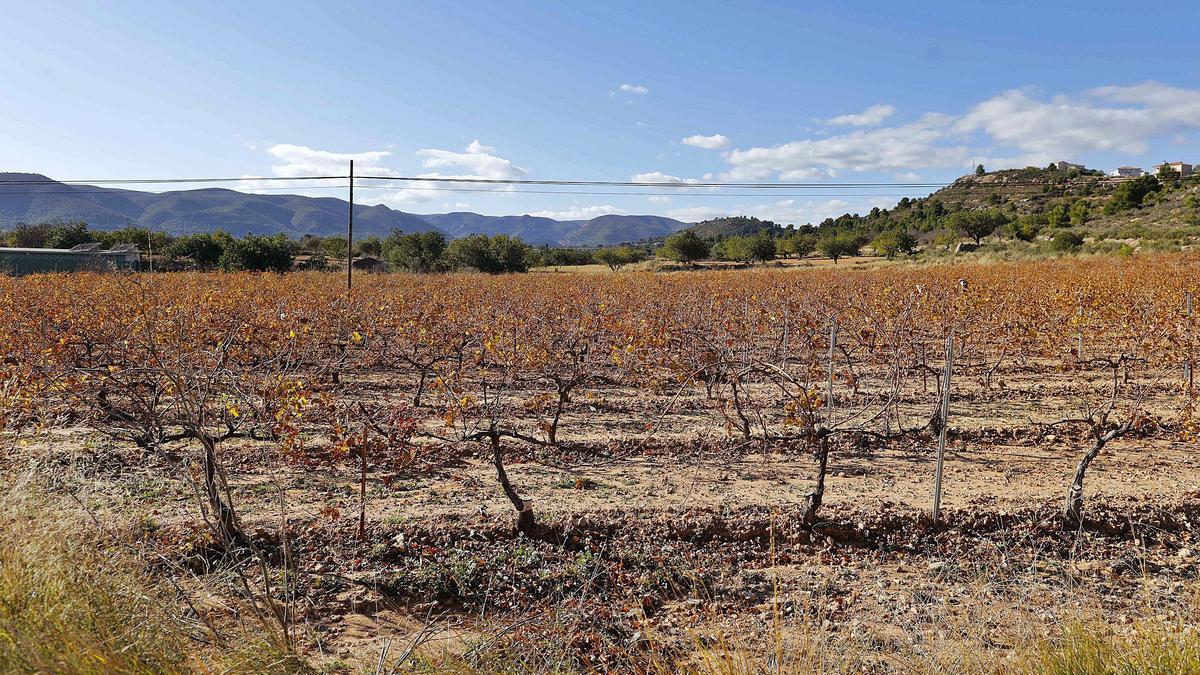 energía verde oportunidad o problema