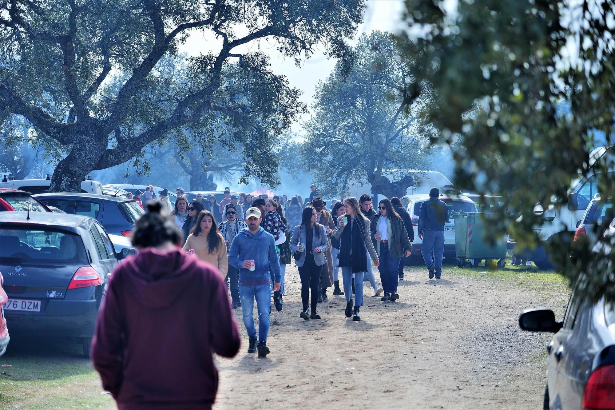 Pozoblanco vive la traida de la Virgen de Luna