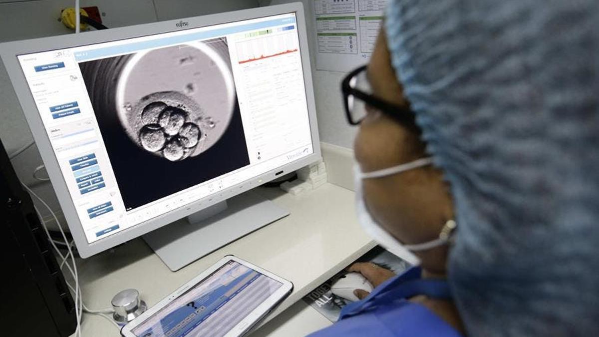 Una profesional analiza la prueba de imagen de una paciente.