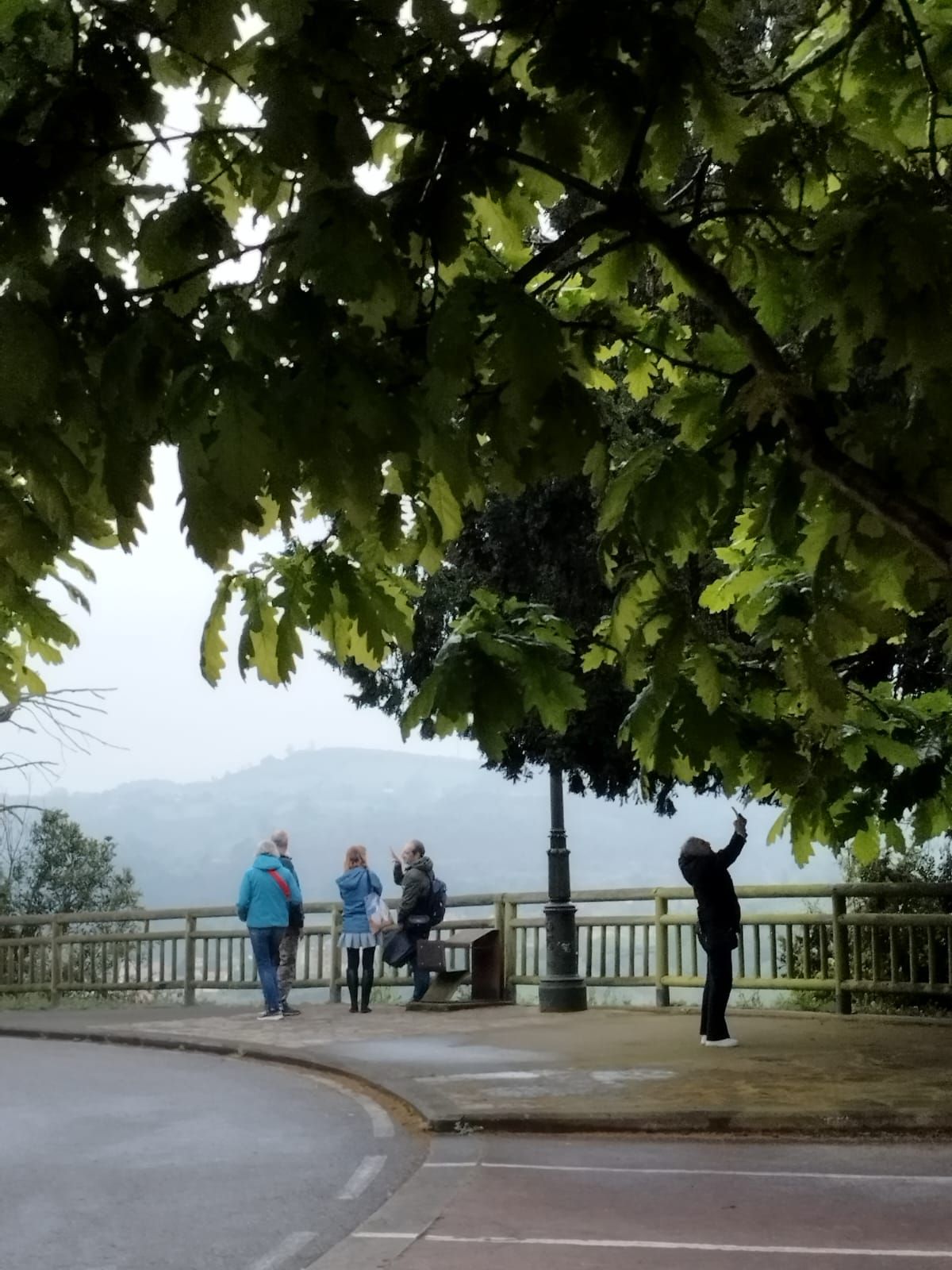 El tour fotográfico de Llanera, en imágenes
